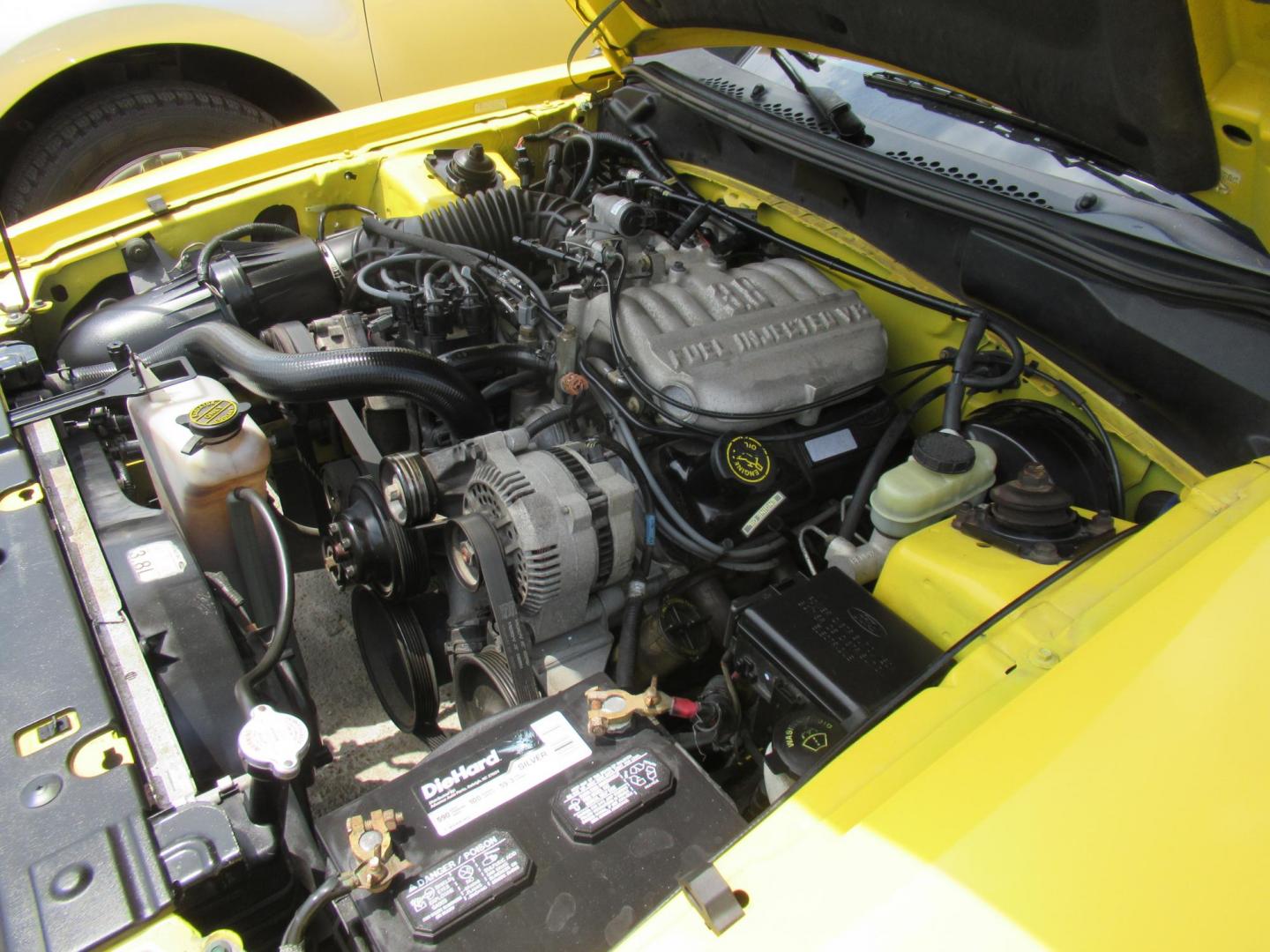 1998 Yellow /Gray Ford Mustang Coupe (1FAFP4044WF) with an 3.8L V6 OHV 12V engine, Manual transmission, located at 1511 North Shepherd Dr., Houston, TX, 77008, (281) 657-1221, 29.798361, -95.412560 - 1998 FORD MUSTANG VIN: 1FAFP4044WF252202 1 F A F P 4 0 4 4 W F 2 5 2 2 0 2 COUPE 3.8L V6 F GASOLINE REAR WHEEL DRIVE - Photo#10