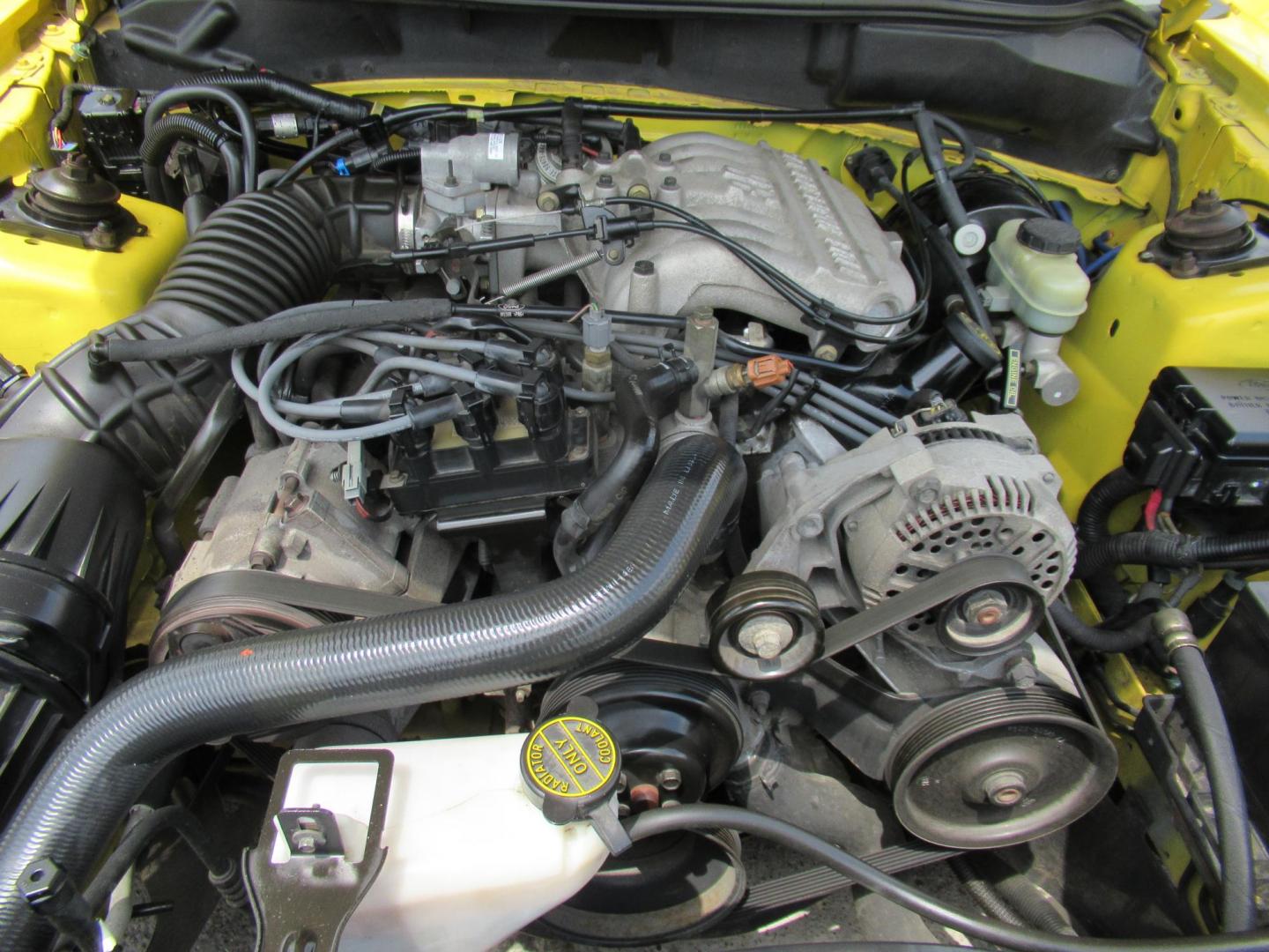 1998 Yellow /Gray Ford Mustang Coupe (1FAFP4044WF) with an 3.8L V6 OHV 12V engine, Manual transmission, located at 1511 North Shepherd Dr., Houston, TX, 77008, (281) 657-1221, 29.798361, -95.412560 - 1998 FORD MUSTANG VIN: 1FAFP4044WF252202 1 F A F P 4 0 4 4 W F 2 5 2 2 0 2 COUPE 3.8L V6 F GASOLINE REAR WHEEL DRIVE - Photo#11