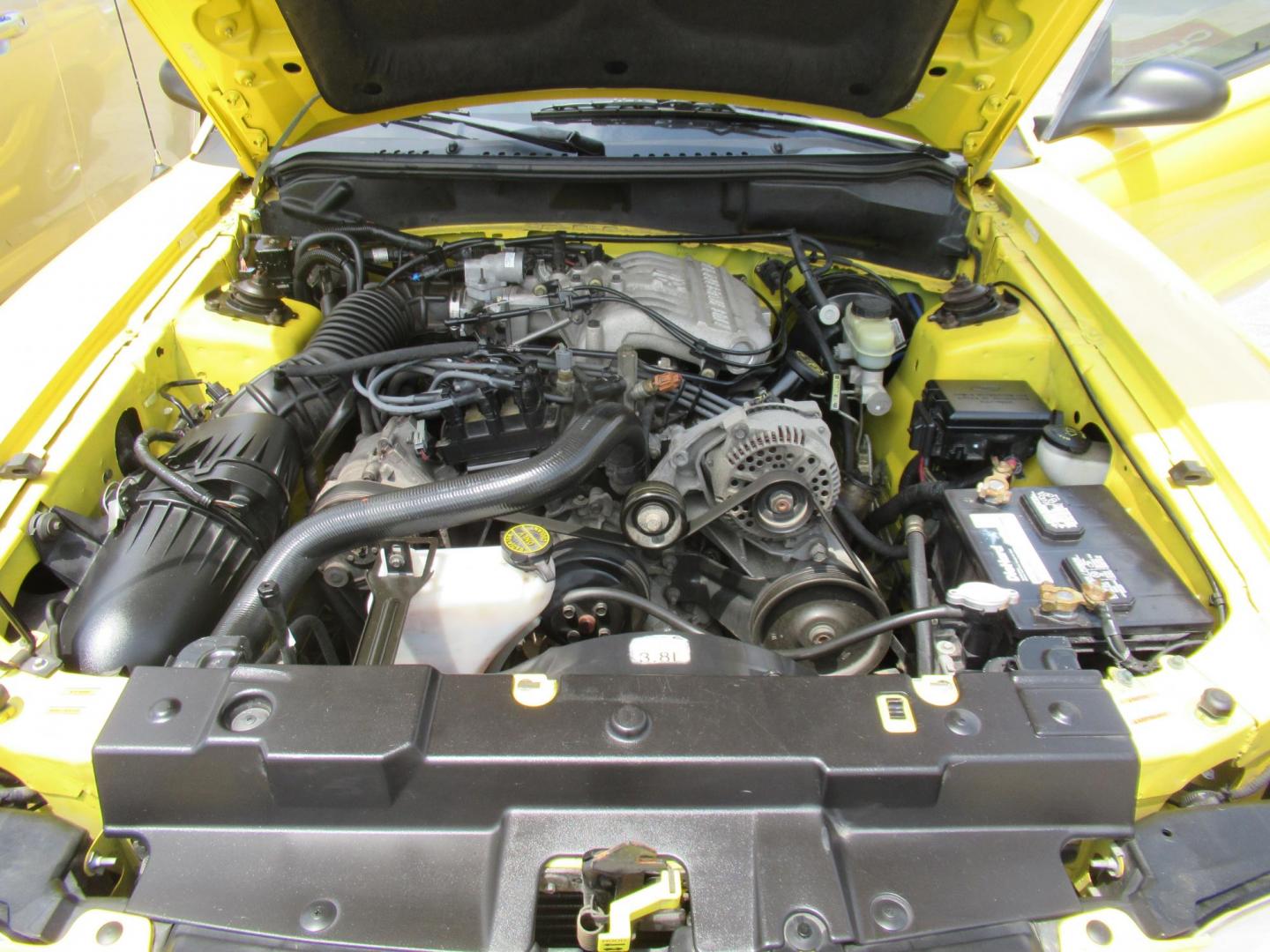 1998 Yellow /Gray Ford Mustang Coupe (1FAFP4044WF) with an 3.8L V6 OHV 12V engine, Manual transmission, located at 1511 North Shepherd Dr., Houston, TX, 77008, (281) 657-1221, 29.798361, -95.412560 - 1998 FORD MUSTANG VIN: 1FAFP4044WF252202 1 F A F P 4 0 4 4 W F 2 5 2 2 0 2 COUPE 3.8L V6 F GASOLINE REAR WHEEL DRIVE - Photo#12