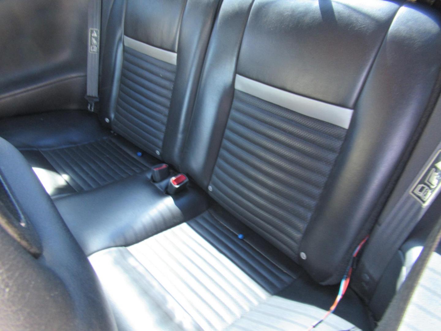 2001 Silver /Black Ford Mustang Bullitt GT (1FAFP42X31F) with an 4.6L V8 SOHC 16V engine, Automatic transmission, located at 1511 North Shepherd Dr., Houston, TX, 77008, (281) 657-1221, 29.798361, -95.412560 - 2001 FORD MUSTANG GT VIN: 1FAFP42X31F216064 1 F A F P 4 2 X 3 1 F 2 1 6 0 6 4 COUPE 4.6L V8 F SOHC 16V GASOLINE REAR WHEEL DRIVE - Photo#8